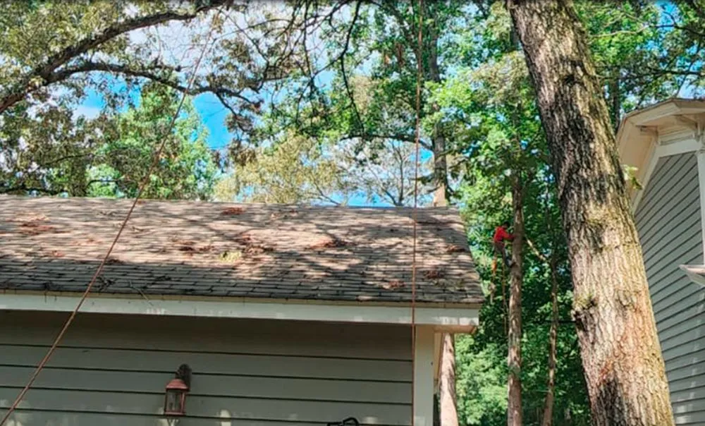 Expert outdoor landscaping for outdoor upgrades across Raccoon Ford, VA - Alex Tree Services