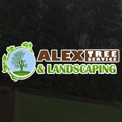Top-rated landscape installation near you in Raccoon Ford, VA by Alex Tree Services
