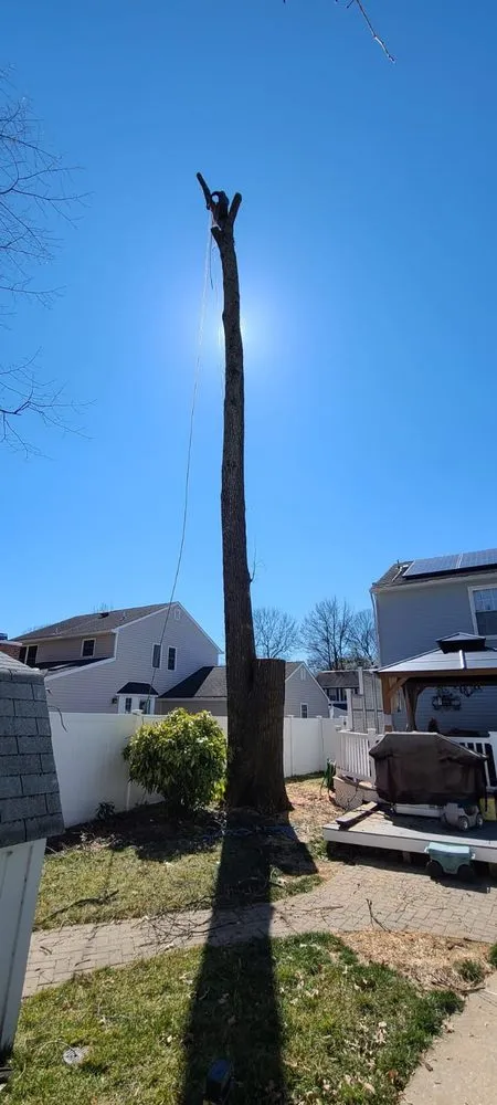 Expert garden landscaping experts serving Raccoon Ford, VA - Alex Tree Services