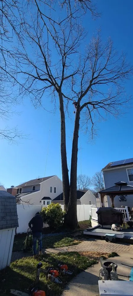 Affordable garden landscaping for beautiful yards in Raccoon Ford, VA by Alex Tree Services
