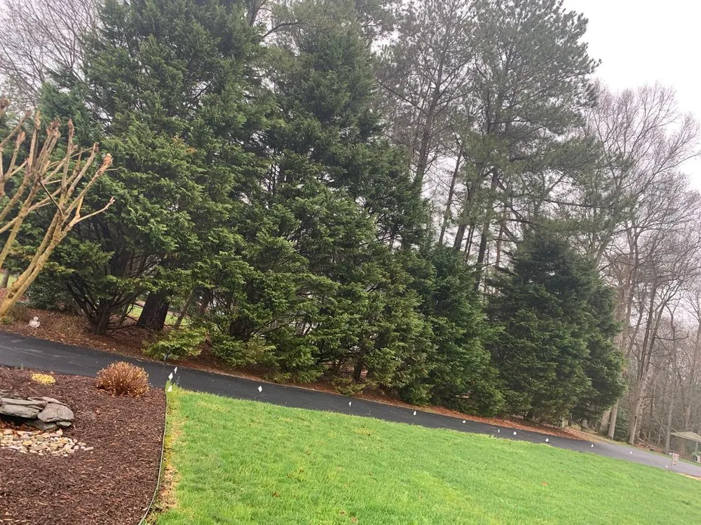 Local garden landscaping near you across Raccoon Ford, VA - Alex Tree Services
