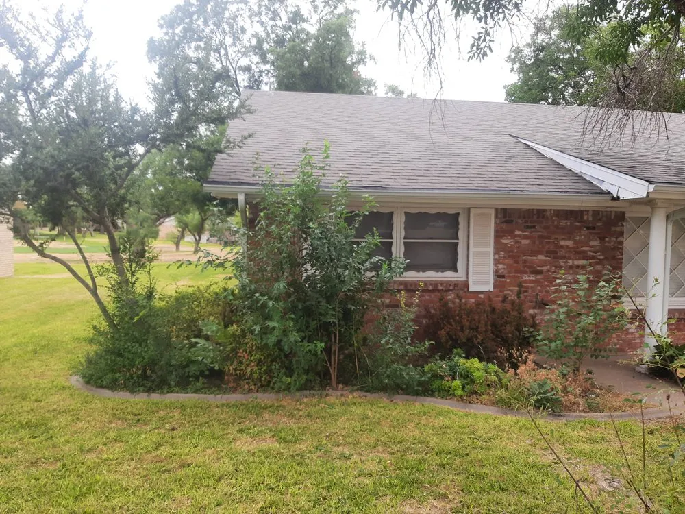 Local yard cleanup service in San Angelo, TX by Alexander & Hart Treescapes