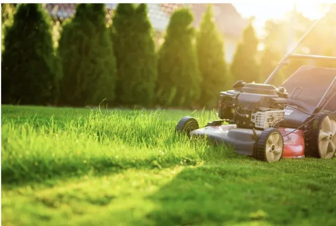 Local lawn mowing service for outdoor upgrades in Kansas City, MO by Alexander & Sons