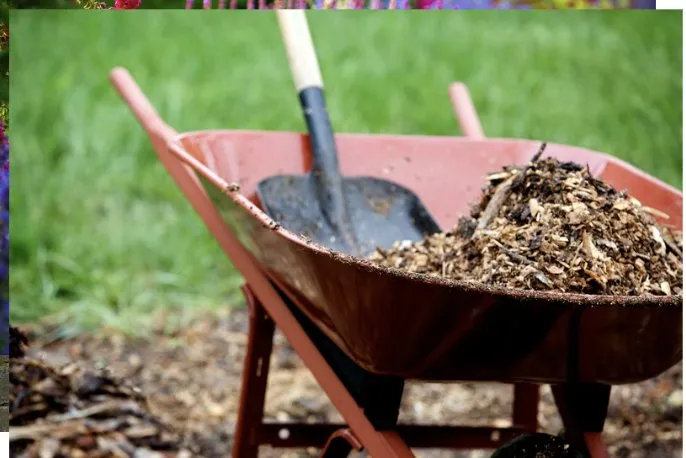 Affordable garden landscaping in Kansas City, MO - Alexander & Sons