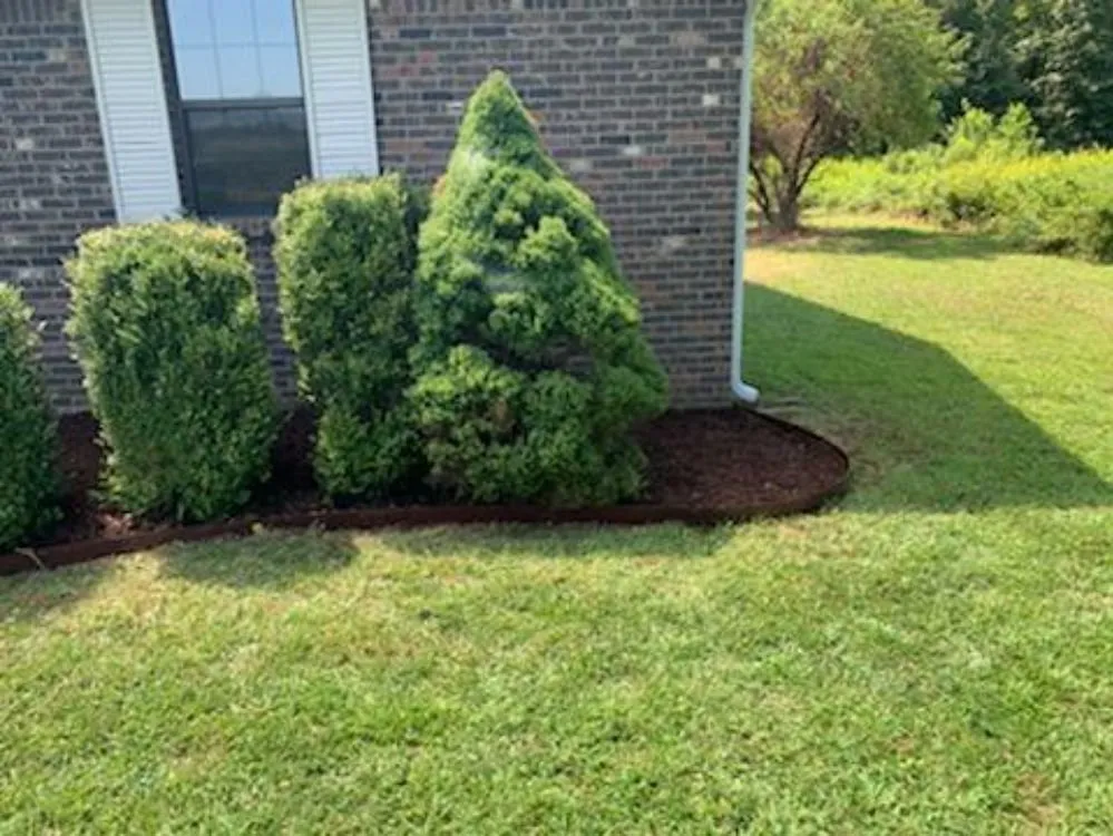 Affordable landscaping services in Huntsville, AL by Alexander & Williams Global
