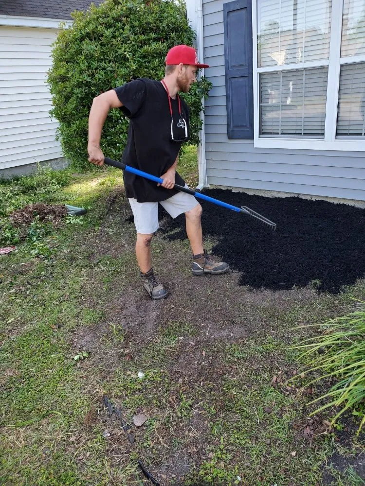 Affordable landscaping services experts serving North Charleston, SC - Alexander Complete Services