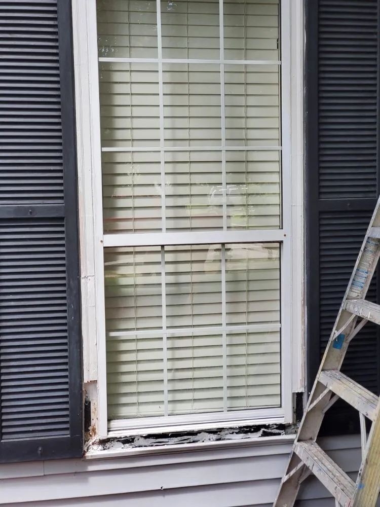 Affordable yard cleanup service for residential properties across North Charleston, SC - Alexander Complete Services