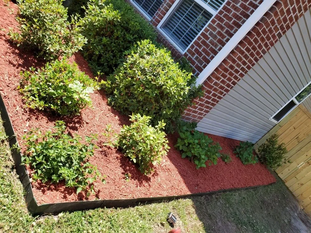 Top-rated residential landscaping for outdoor upgrades in North Charleston, SC by Alexander Complete Services