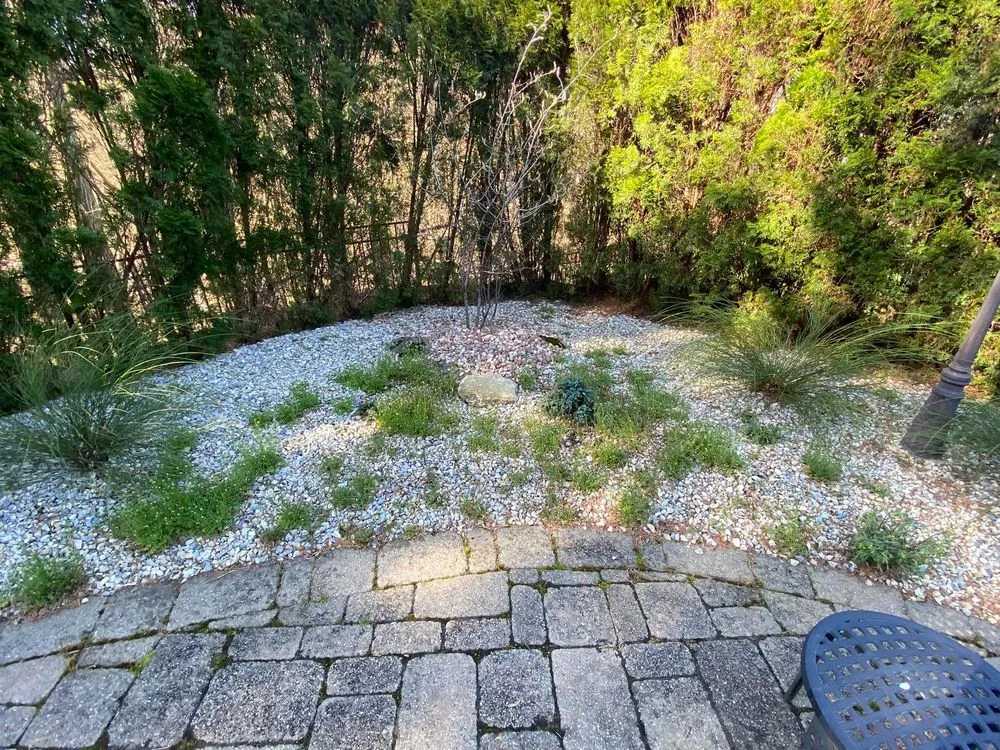 Professional garden landscaping near you across Jackson, NJ - Alexander Exteriors