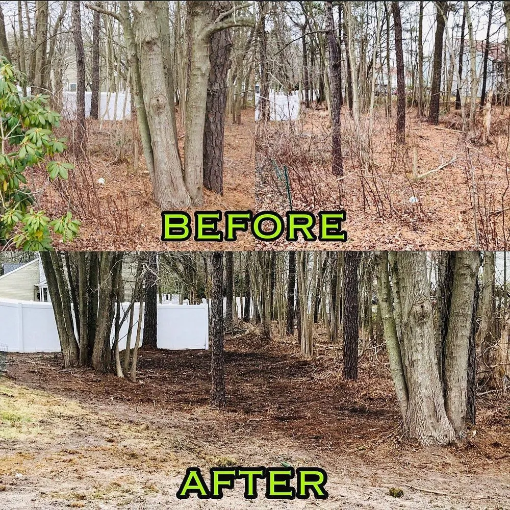 Reliable yard cleanup service near you across Jackson, NJ - Alexander Exteriors