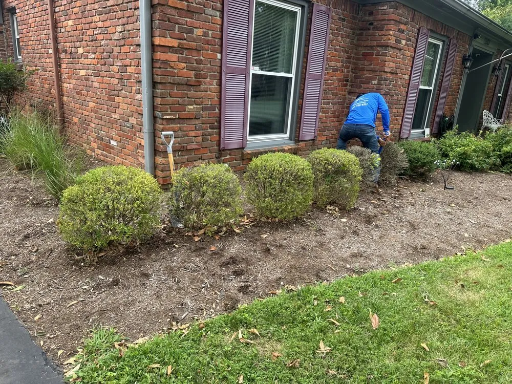 Custom lawn care service for residential properties across Shively, KY - Alexander Fencing And Decks