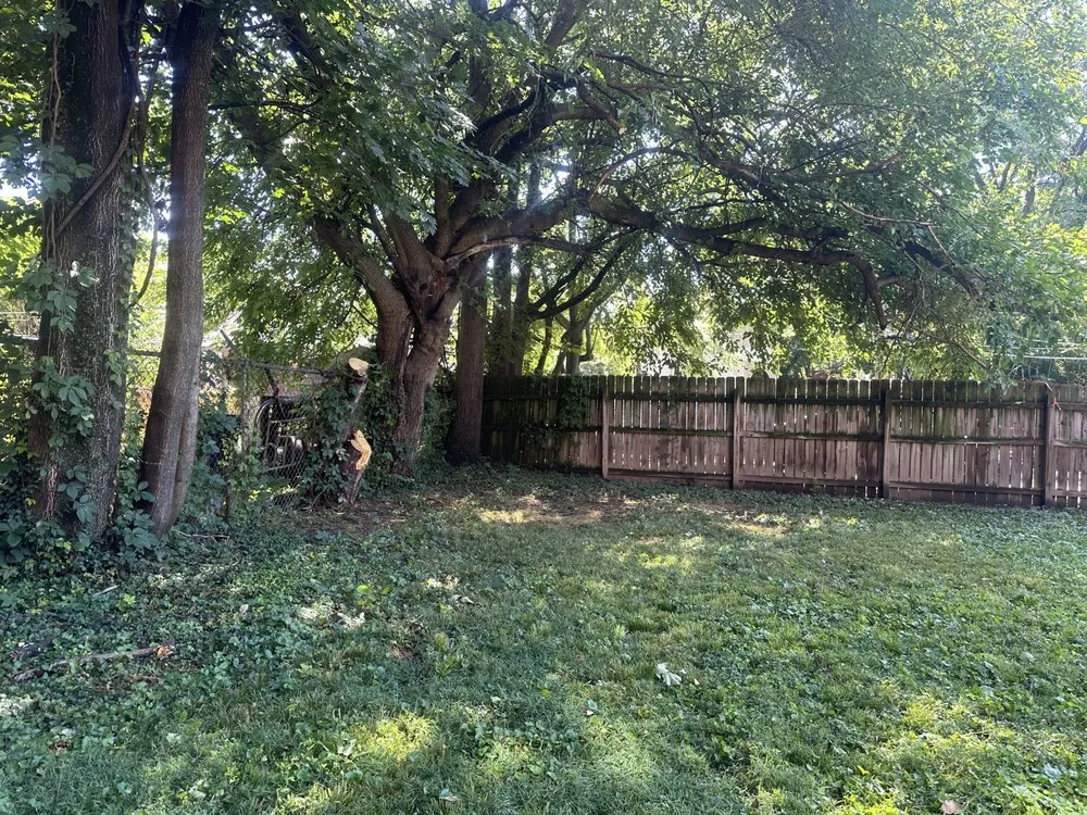 Professional outdoor landscaping for beautiful yards in Shively, KY by Alexander Fencing And Decks