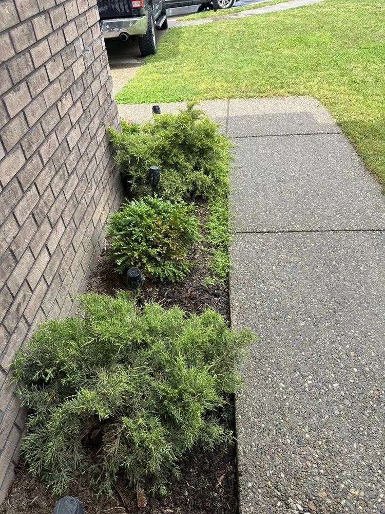 Custom lawn care service in Shively, KY - Alexander Fencing And Decks