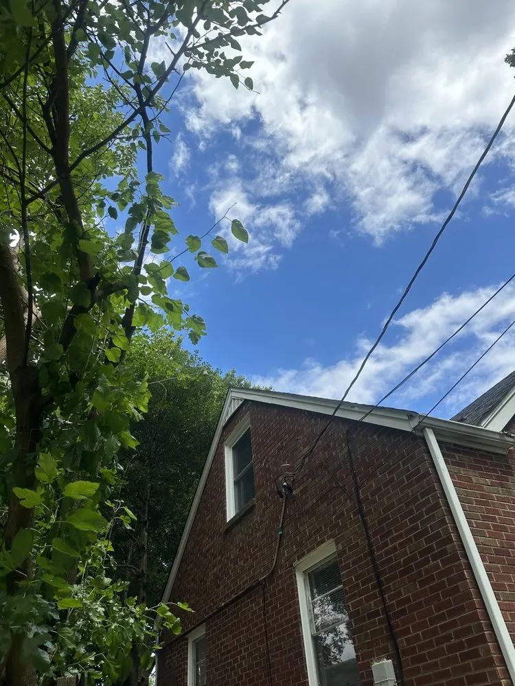 Top-rated landscape design in Shively, KY by Alexander Fencing And Decks