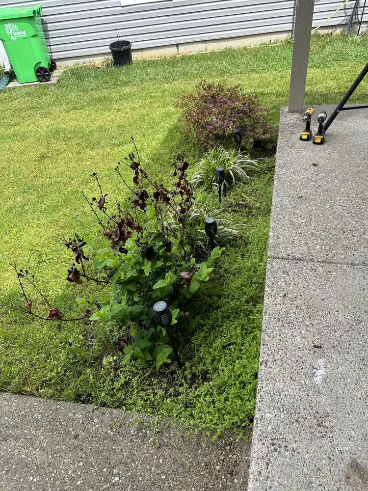 Reliable lawn care service for beautiful yards across Shively, KY - Alexander Fencing And Decks