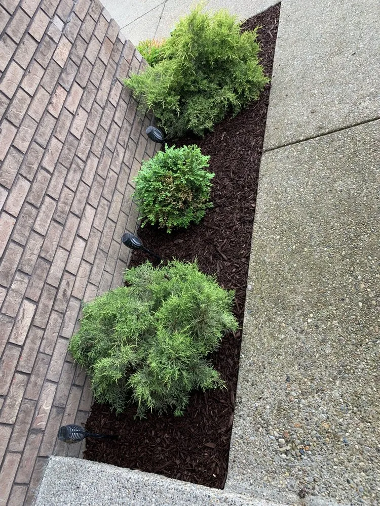 Local landscape installation in Shively, KY - Alexander Fencing And Decks