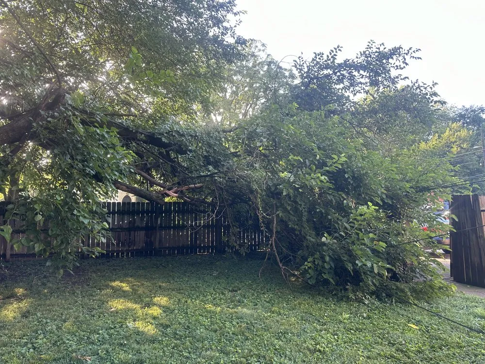 Reliable outdoor landscaping for beautiful yards across Shively, KY - Alexander Fencing And Decks