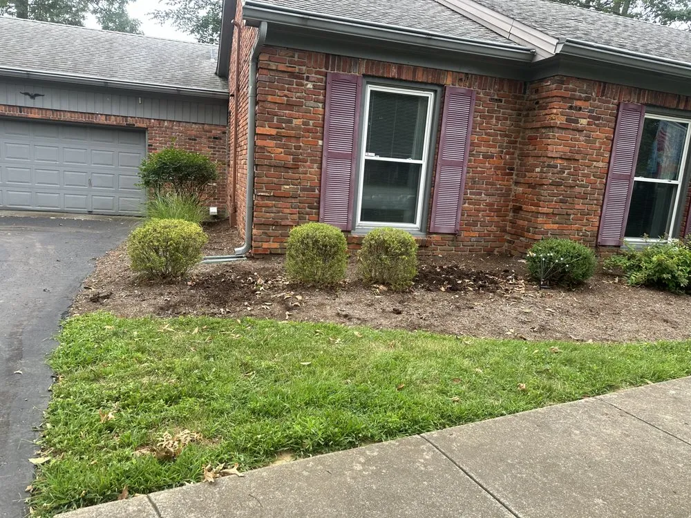 Custom yard cleanup service in Shively, KY - Alexander Fencing And Decks