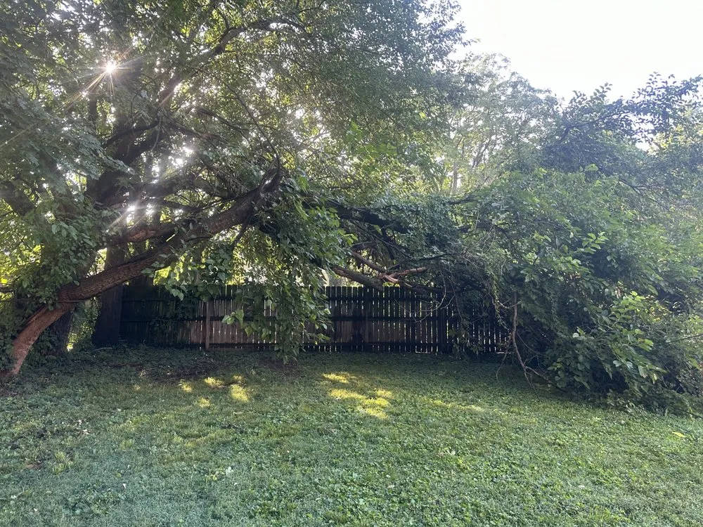 Affordable outdoor landscaping in Shively, KY - Alexander Fencing And Decks