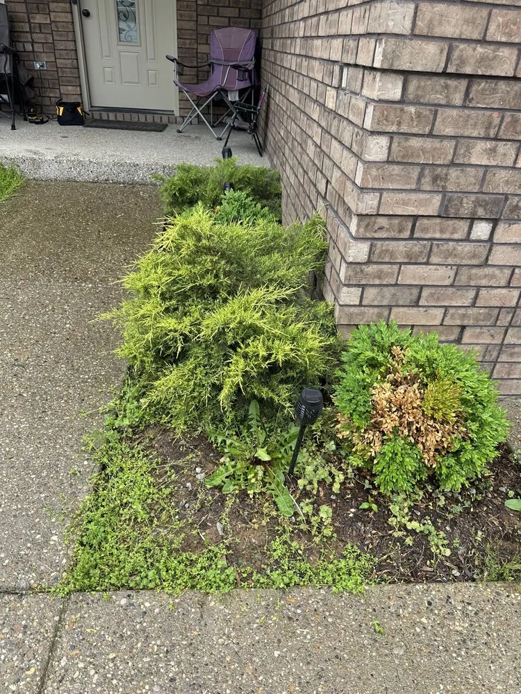 Top-rated landscape installation for year-round maintenance in Shively, KY by Alexander Fencing And Decks