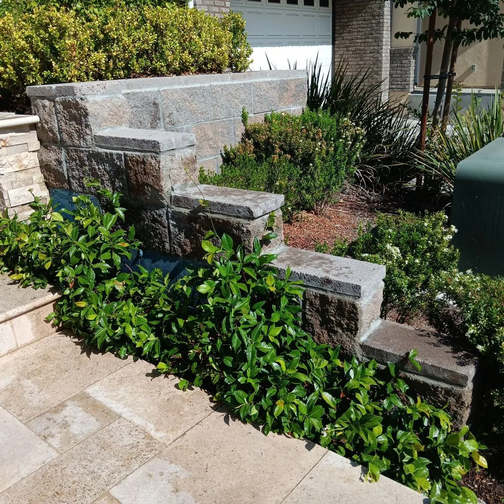 Custom yard maintenance for beautiful yards in Lake Forest, CA by Alexander Gardening