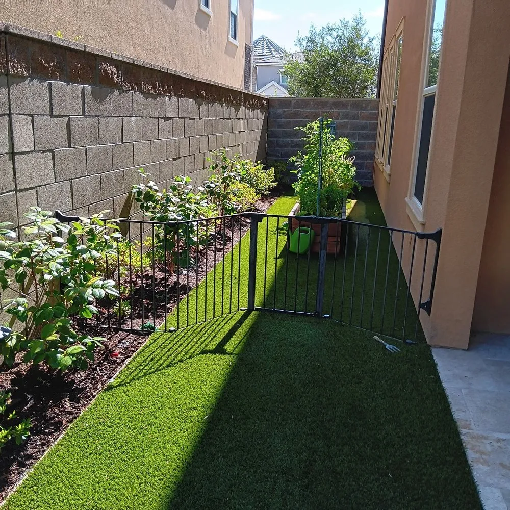 Professional garden landscaping in Lake Forest, CA by Alexander Gardening