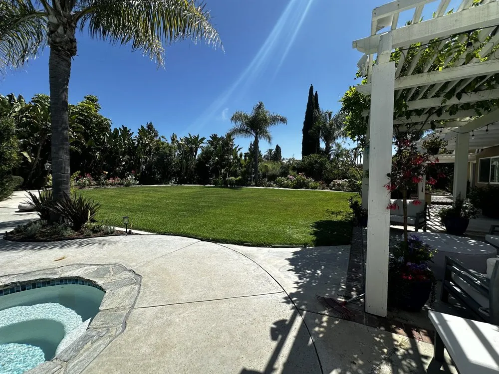 Reliable lawn care service for homes across Lake Forest, CA - Alexander Gardening