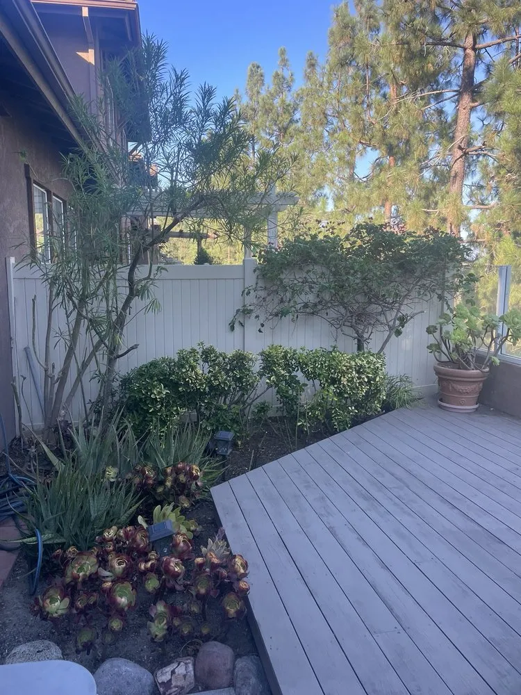 Top-rated yard cleanup service experts serving Lake Forest, CA - Alexander Gardening