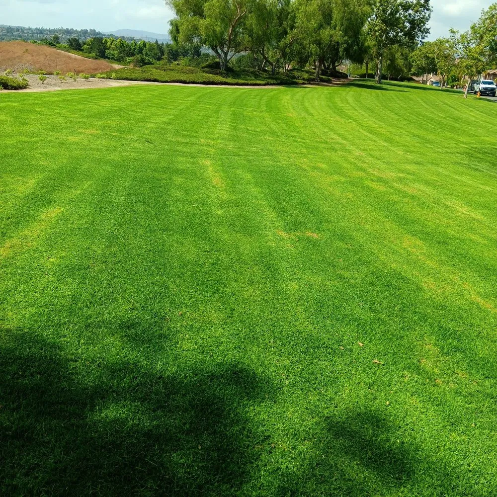 Professional outdoor landscaping near you across Lake Forest, CA - Alexander Gardening