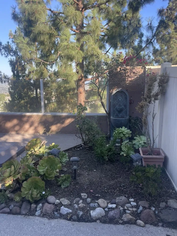 Trusted yard cleanup service in Lake Forest, CA by Alexander Gardening