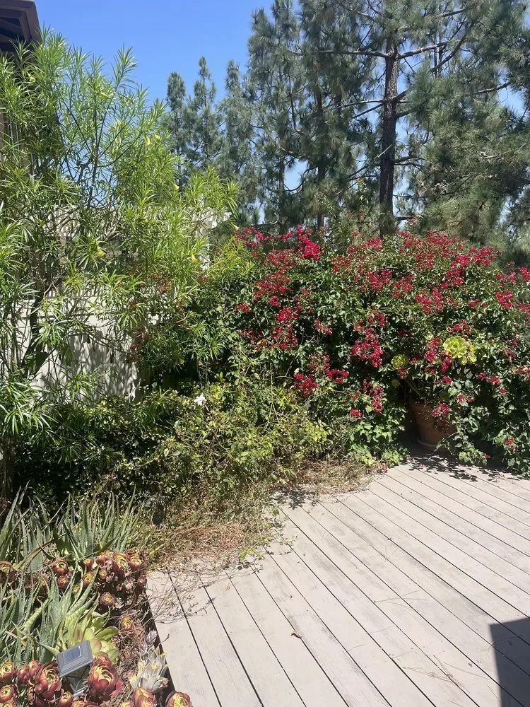 Top-rated lawn mowing service in Lake Forest, CA - Alexander Gardening