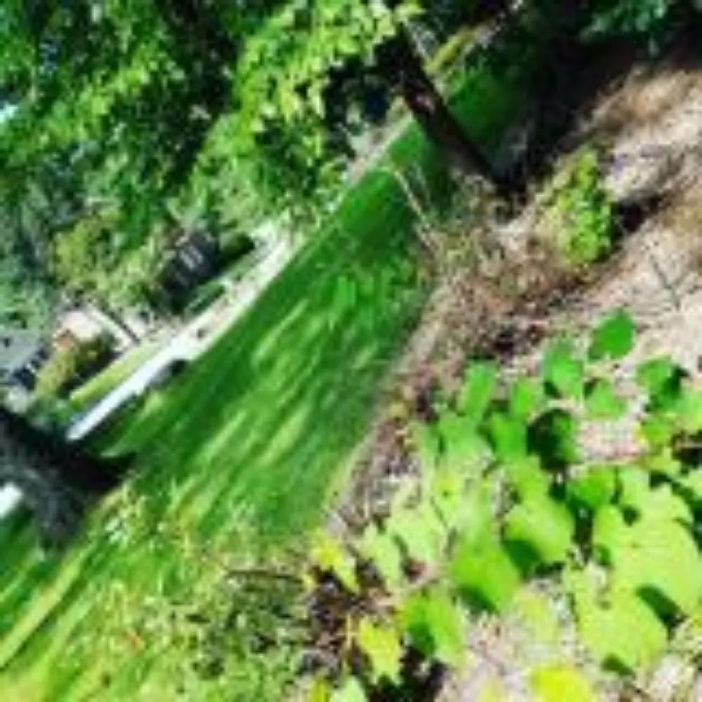 Local residential landscaping in Barnesville, GA - Alexander Great Landscaping