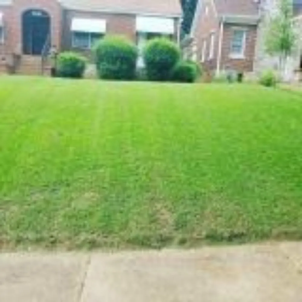 Top-rated lawn mowing service in Barnesville, GA - Alexander Great Landscaping
