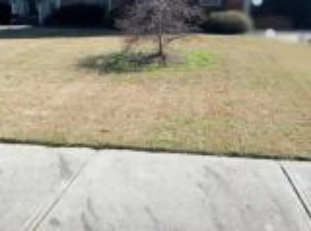 Reliable yard maintenance for year-round maintenance across Barnesville, GA - Alexander Great Landscaping