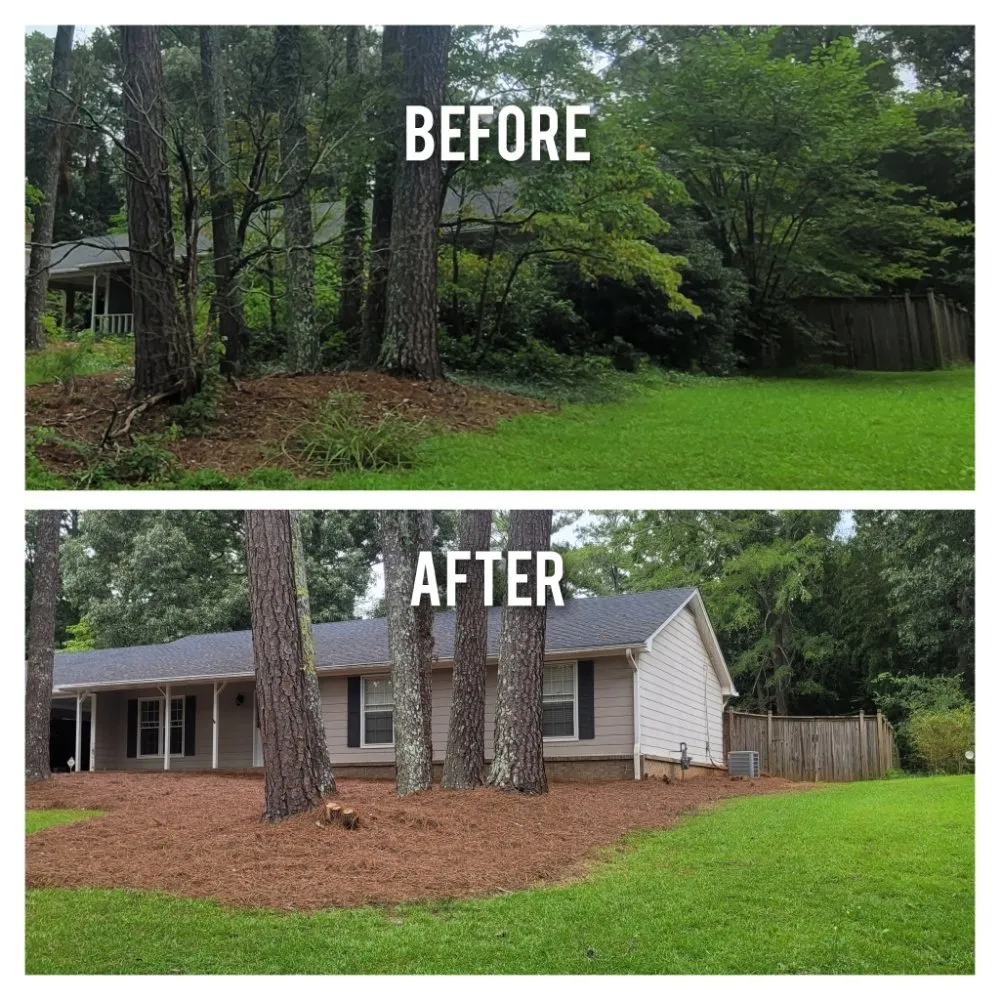 Expert residential landscaping in Dacula, GA - Alexander Group