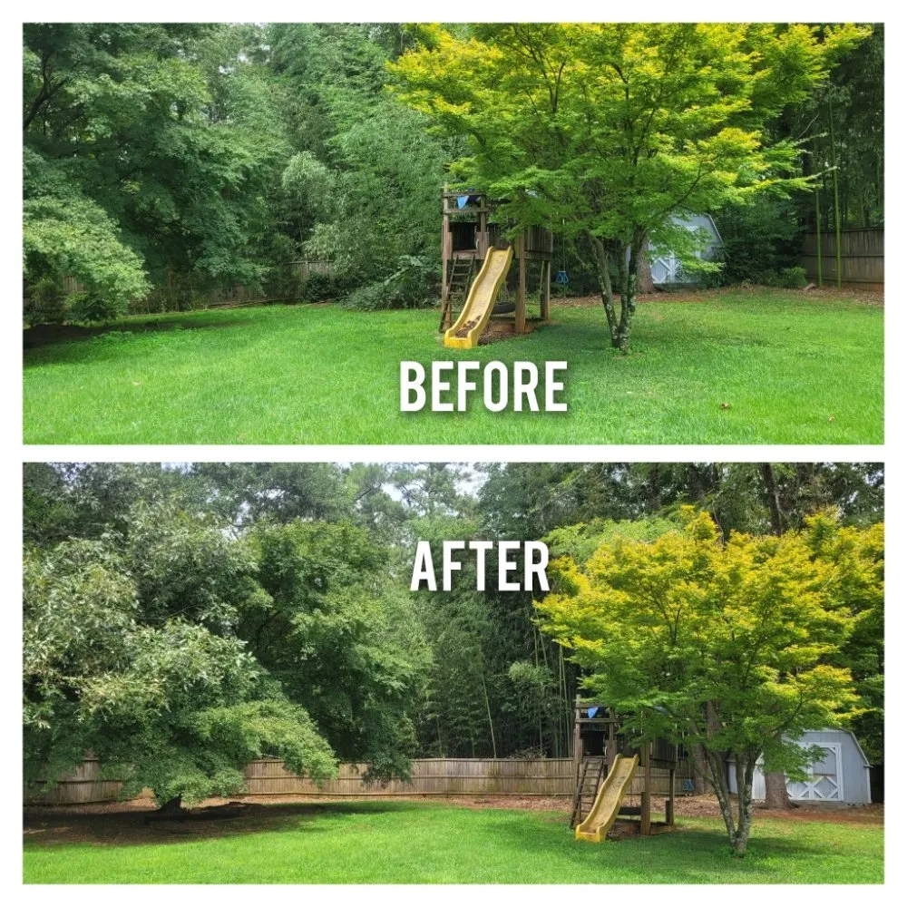 Local yard maintenance in Dacula, GA - Alexander Group