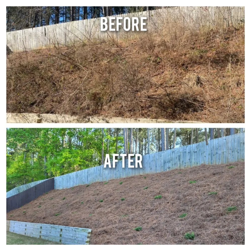 Custom outdoor landscaping in Dacula, GA by Alexander Group