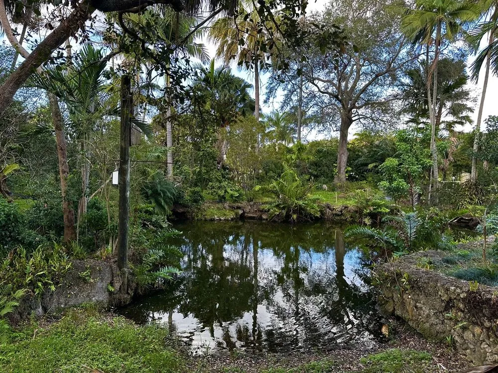 Local outdoor landscaping in Davie, FL - Alexander Landscaping and Plant Farm