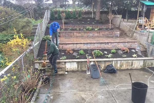 Trusted landscaping services experts serving Rosedale, NY - Alexander Landscaping