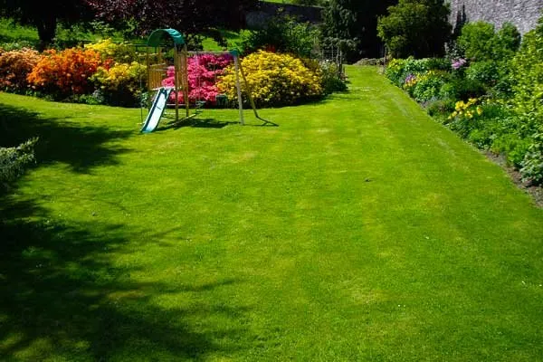 Top-rated outdoor landscaping experts serving Rosedale, NY - Alexander Landscaping