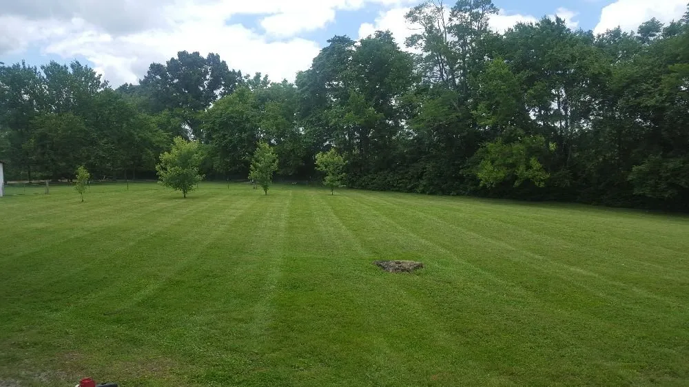 Expert residential landscaping with custom design across Columbia, TN - Alexander Lawn & Landscaping