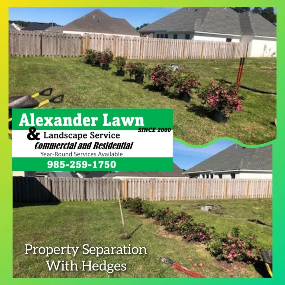 Professional yard maintenance in Bogalusa, LA - Alexander Lawn and Landscaping Service