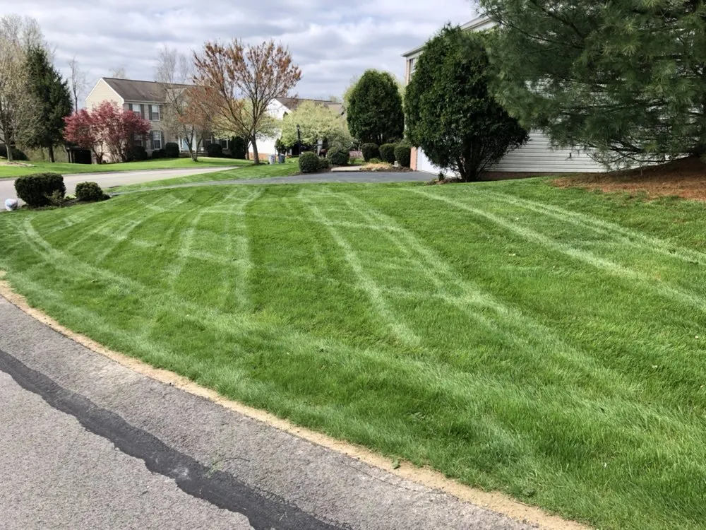 Professional landscape installation experts serving Pittsburgh, PA - Alexander Lawn Services