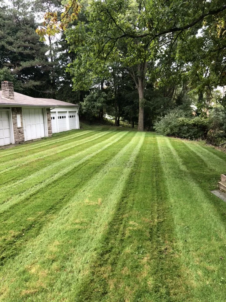 Affordable lawn care service experts serving Pittsburgh, PA - Alexander Lawn Services