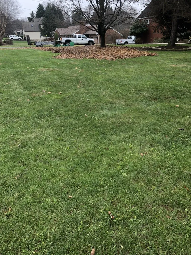 Trusted landscaping services in Pittsburgh, PA by Alexander Lawn Services