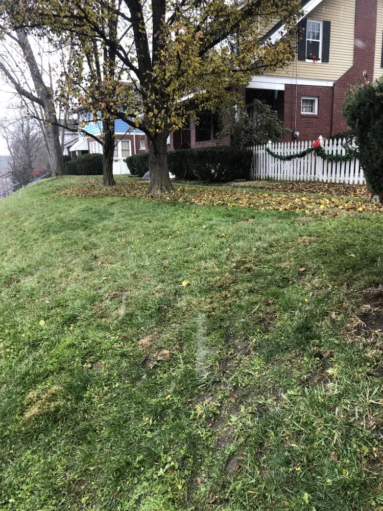 Trusted lawn mowing service experts serving Pittsburgh, PA - Alexander Lawn Services
