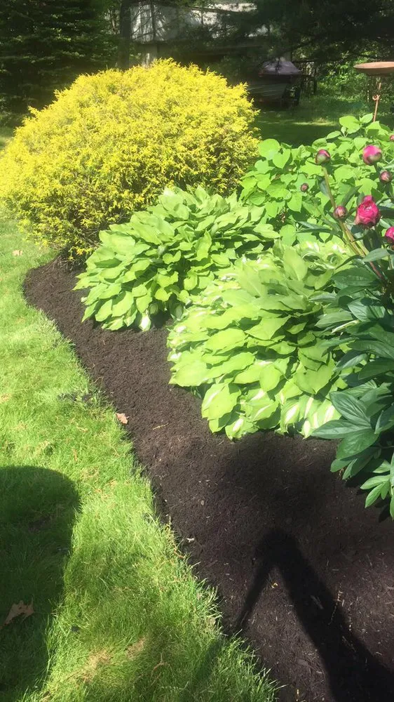 Reliable lawn care service for homes across Pittsburgh, PA - Alexander Lawn Services