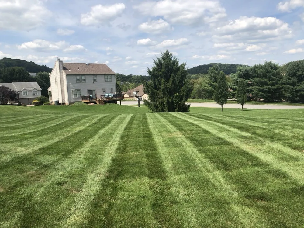 Top-rated residential landscaping for outdoor upgrades across Pittsburgh, PA - Alexander Lawn Services