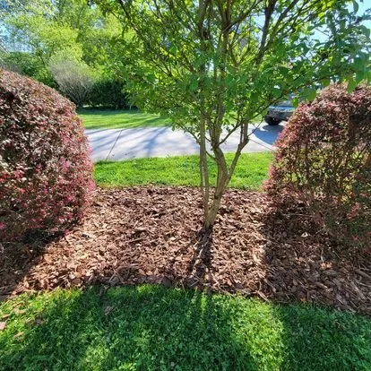 Reliable garden landscaping experts serving Greensboro, NC - Alexander Lawncare