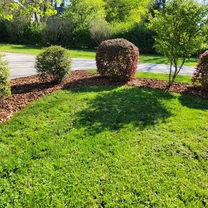 Professional landscape installation experts serving Greensboro, NC - Alexander Lawncare